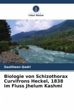 Biologie von Schizothorax Curvifrons Heckel, 1838 im Fluss Jhelum Kashmi - Qadri, Sauliheen