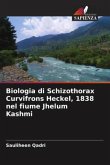 Biologia di Schizothorax Curvifrons Heckel, 1838 nel fiume Jhelum Kashmi