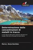 Determinazione delle concentrazioni di metalli in tracce