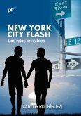 New York City Flash (eBook, ePUB)