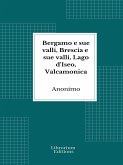 Bergamo e sue valli, Brescia e sue valli, Lago d'Iseo, Valcamonica (eBook, ePUB)