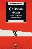 Calisma Acisi - sahin Umman, Ugur