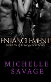 Entanglement (eBook, ePUB)