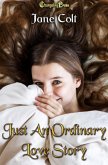 Just an Ordinary Love Story (eBook, ePUB)