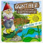 Gunther, der grummelige Gartenzwerg, Gunther, der grummelige Gartenzwerg: Folge 17 - 20 (MP3-Download)