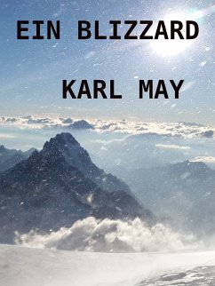 Ein Blizzard (eBook, ePUB)