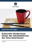 Kulturelle Hindernisse hinter der Identitätskrise der Sino-Amerikaner