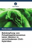 Bekämpfung von Polyphagotarsonemus latus (Banks) in verschiedenen Chili-Hybriden