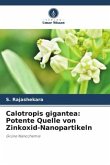 Calotropis gigantea: Potente Quelle von Zinkoxid-Nanopartikeln