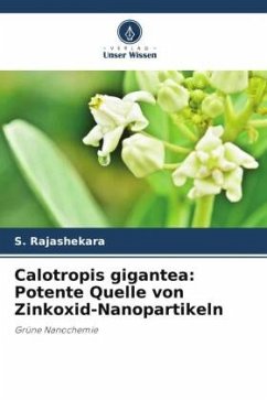 Calotropis gigantea: Potente Quelle von Zinkoxid-Nanopartikeln - Rajashekara, S.;Shrivastava, Arshika;Sumhita, Sankranthi