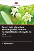 Calotropis gigantea : Source potentielle de nanoparticules d'oxyde de zinc