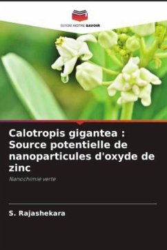 Calotropis gigantea : Source potentielle de nanoparticules d'oxyde de zinc - Rajashekara, S.;Shrivastava, Arshika;Sumhita, Sankranthi