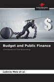 Budget and Public Finance