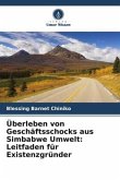 Überleben von Geschäftsschocks aus Simbabwe Umwelt: Leitfaden für Existenzgründer