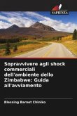 Sopravvivere agli shock commerciali dell'ambiente dello Zimbabwe: Guida all'avviamento
