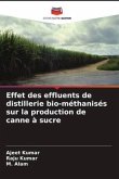 Effet des effluents de distillerie bio-méthanisés sur la production de canne à sucre