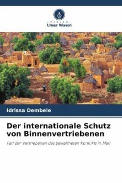 Der internationale Schutz von Binnenvertriebenen - Dembélé, Idrissa