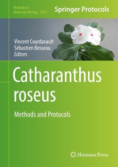 Catharanthus roseus (eBook, PDF)