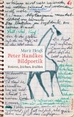 Peter Handkes Bildpoetik (eBook, PDF)