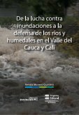 De la lucha contra inundaciones a la defensa de ríos y humedales en el Valle del Cauca y Cali (eBook, ePUB)