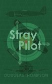 Stray Pilot (eBook, ePUB)