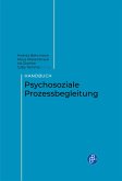 Handbuch Psychosoziale Prozessbegleitung (eBook, PDF)