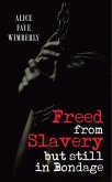 Freed from Slavery but Still in Bondage (eBook, ePUB)