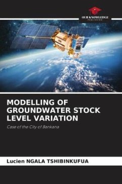 MODELLING OF GROUNDWATER STOCK LEVEL VARIATION - Ngala Tshibinkufua, Lucien