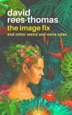The Image Fix (eBook, ePUB)