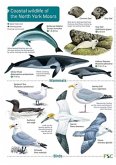 Coastal wildlife of the North York Moors Coastal wildlife of the North York Moors