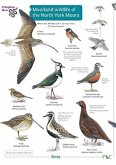 Moorland wildlife of the North York Moors Moorland wildlife of the North York Moors
