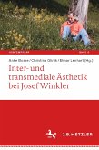 Inter- und transmediale Ästhetik bei Josef Winkler (eBook, PDF)