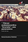 &quote; Fibrosi endomiocardica &quote;bruciata&quote;: una panoramica