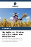 Die Rolle von Silizium beim Wachstum von Reispflanzen