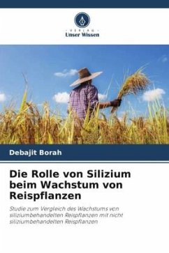 Die Rolle von Silizium beim Wachstum von Reispflanzen - Borah, Debajit
