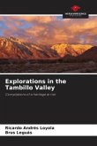 Explorations in the Tambillo Valley