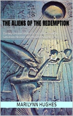 Cover The Aliens of the Redemption (eBook, ePUB)