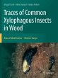 Traces of Common Xylophagous Insects in... - Bild 1