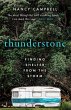 Thunderstone (eBook, ePUB) - Bild 1