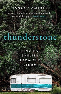 Cover Thunderstone (eBook, ePUB)