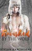 Ravished by the Wolf (Echo Valley Shifter Mates, #1) (eBook, ePUB)