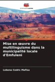 Mise en ¿uvre du multilinguisme dans la municipalité locale d'Emfuleni
