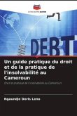 Un guide pratique du droit et de la pratique de l'insolvabilité au Cameroun