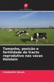 Tamanho, posição e fertilidade do tracto reprodutivo nas vacas Holstein