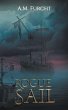 Rogue Sail - Bild 1