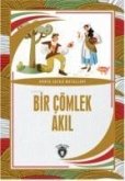 Bir Cömlek Akil