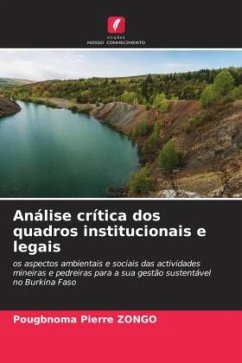 Análise crítica dos quadros institucionais e legais - Zongo, Pougbnoma Pierre