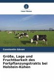 Größe, Lage und Fruchtbarkeit des Fortpflanzungstrakts bei Holstein-Kühen