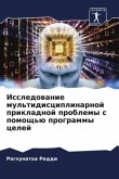 Issledowanie mul'tidisciplinarnoj prikladnoj problemy s pomosch'ü programmy celej