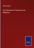 The Tabernacle of Testimony in the Wilderness